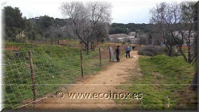 Instalación de valla cinergética en la zona de los huertos urbanos de Sant Feliu de Guíxols..